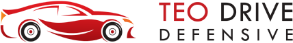 Logo Teo Drive Defensive
